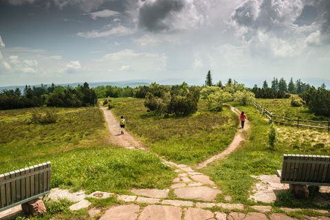 Zwei Personen wandern auf dem Schliffkopfgipfel.