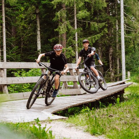 Drei Personen fahren mit dem Mountainbike über ein North Shore Element auf der T11 Kids Tonbach Tour in Baiersbronn