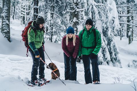 Eine Nationalpark-Rangerin und ein Paar stehen mit einem Hund im Wald und begutachten Tierspuren im Schnee.