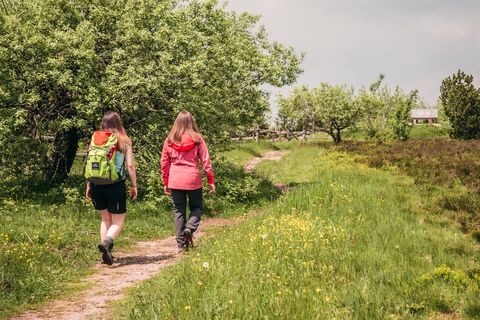 Zwei Personen wandern auf einem Wanderweg auf dem Schliffkopf.