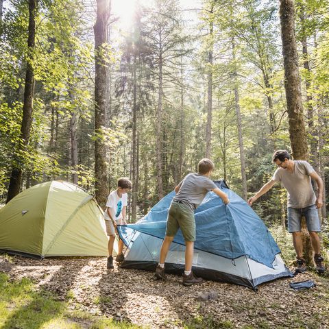 Ein Vater baut mit seinen zwei Kindern ein Zelt im Trekking-Camp bei Baiersbronn auf.