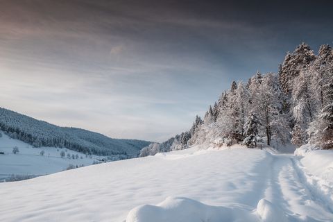 Schneelandschaft in Baiersbronn.