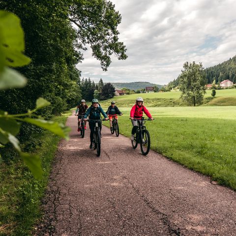 Eine Gruppe fährt auf Fahrrädern auf der Tour de Murg in Baiersbronn