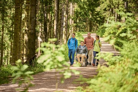 Eine Gruppe mit Rollstuhlfahrer wandert durch den Wald