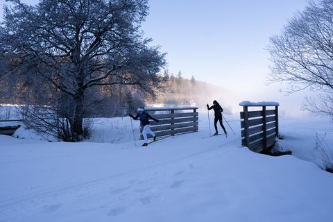 Zwei Langläuferinnen auf der Loipe in Obertal-Buhlbach.