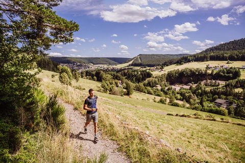 Ein Mann rennt auf einem Trail entlang der Sommerseite in Baiersbronn.