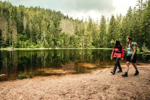 Zwei Personen wandern am Wildsee entlang, welcher im Nationalpark Schwarzwald liegt.