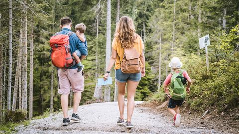 Eine Familie wandert gemeinsam im Nationalpark Schwarzwald.