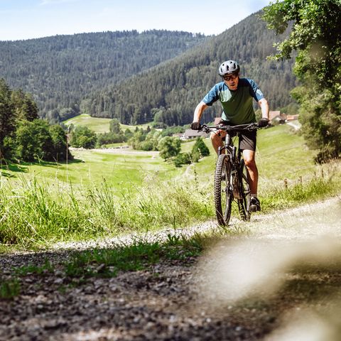 Eine Person fährt mit dem Mountainbike auf einem breiten Weg am Waldrand