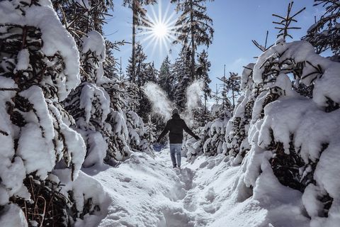 Eine Person wandert im verschneiten Baiersbronner Wald.