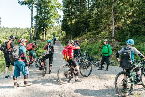 Ein Guide fährt mit einer Mountainbike-Gruppe durch den Baiersbronner Wald.