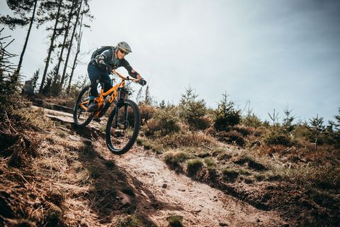 Ein Mountainbiker fährt auf einem Trail in Baiersbronn.