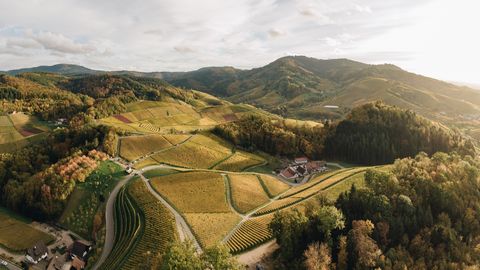 Bergige Landschaft in der Nationalparkregion Schwarzwald.