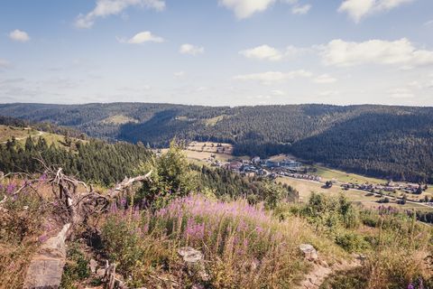 Ausblick auf den Teilort Tonbach